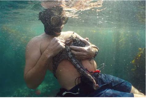 A filmmaker forges an unusual friendship with an octopus living in a south african kelp forest, learning as the animal shares the mysteries of her world. Magical message of our interconnectedness with nature