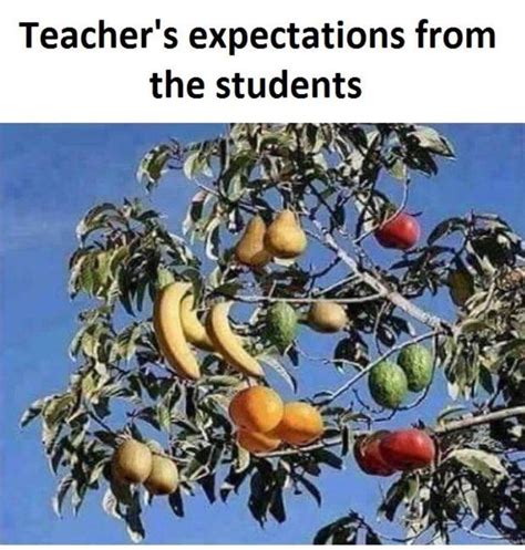 Fruit tree grafting has a long, noble history, and rightfully so. Pin on Jokes/Memes