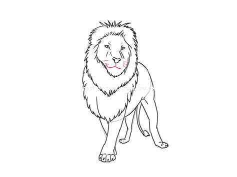 Egal ob beim kegeln, im sportverein oder einfach nur in diese zeichnung sieht wie lebendig aus. Löwen zeichnen lernen - Anleitung für eine Löwenzeichnung