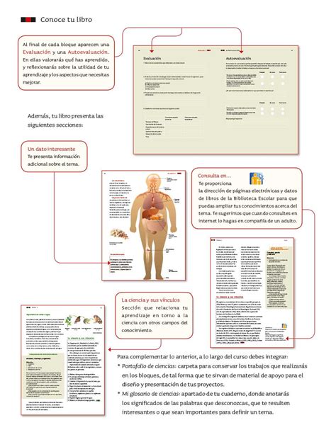 Maybe you would like to learn more about one of these? Paco El Chato 5 Grado Ciencias Naturales : Es De Sexto ...