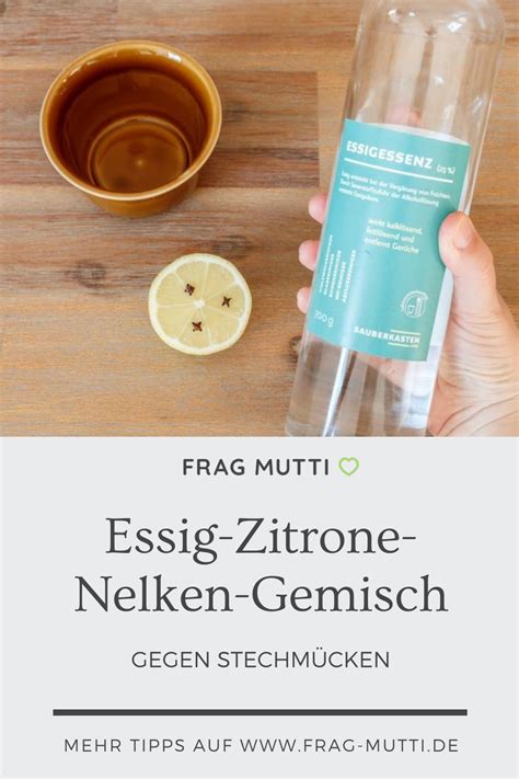 Vor 3 tagen sind erstmals ameisen im schlafzimmer aufgetaucht, die an den seiten, wo sich fußleisten befinden, heraus kommen, nicht sehr viele, immer ein paar. Essig, Zitrone und Nelken gegen Stechmücken im ...