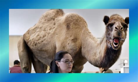 Mike mike mike…mike what day is it mike? 10 of the Best Animals in Advertising