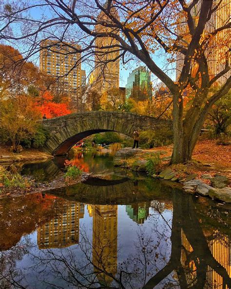 Maybe you would like to learn more about one of these? Travel Insurance Options for Traveling Abroad in 2020 | Autumn in new york, Central park ...