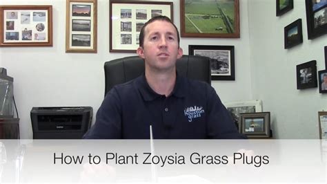 Maybe you would like to learn more about one of these? How to Plant Zoysia Grass Plugs - Houston Grass South