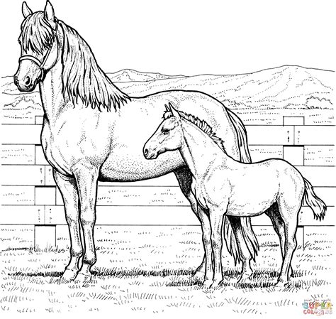 Plaatjes van paarden op de manege, in de wei en een merrie met een veulentje. Merrie en veulen kleurplaat | Gratis Kleurplaten printen