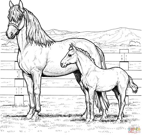 Indianpolis colts coloring page author: Merrie en veulen kleurplaat | Gratis Kleurplaten printen