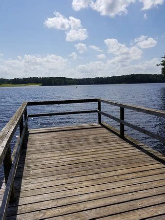 Maybe you would like to learn more about one of these? PERCY QUIN STATE PARK CAMPGROUND - UPDATED 2018 Reviews ...