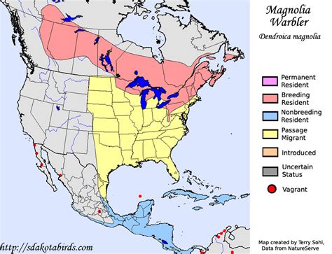 It is hardy to zone (uk) 6. Magnolia Warbler - Species Range Map