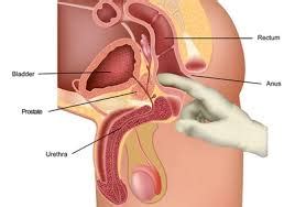 • in order to avoid the internal self prostate massage, you can opt. Potential Hazards of Prostate Massager | Prostatitis ...