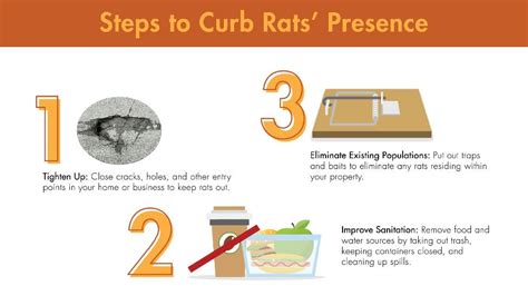 While others do not take any actions to prepare for pest services. Contaminating Crawlers: Why Rats Are a Health Hazard ...