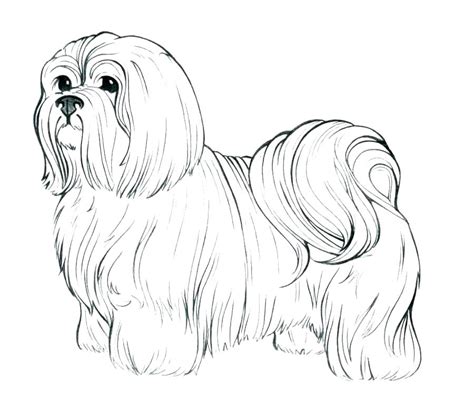 View and print full size. Realistic Coloring Pages Of Dogs at GetColorings.com ...