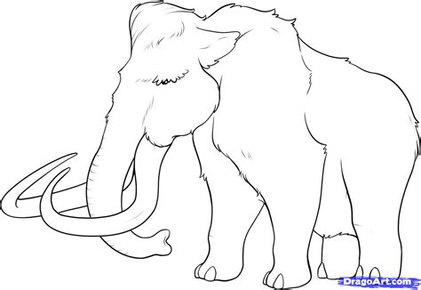 Woolly mammoths were once common in north america and siberia. How to Draw a Mammoth, Step by Step, Dinosaurs, Animals ...