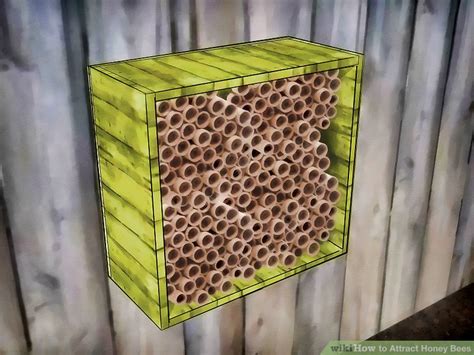 They find flowers that are blue, purple and yellow most appealing. How to Attract Honey Bees: 11 Steps (with Pictures) - wikiHow