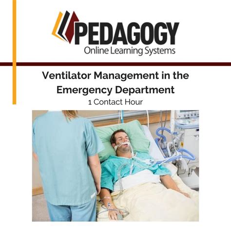 A respiratory therapist is responsible for performing chest exams and creating a treatment plan. Pin on Respiratory Continuing Education