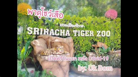 สำหรับ สวนเสือศรีราชา เริ่มเปิดให้บริการมาตั้งแต่วันที่ 23 เมษายน 2540 ตั้งอยู่ที่ตำบลหนองขาม อำเภอศรีราชา จังหวัดชลบุรี โดยมีการเพาะเลี้ยง. สวนเสือศรีราชา เปิดชมฟรีวันแรก ไปดูโชว์เสือกัน - YouTube