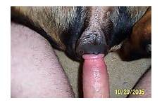 man heat his zoox18 zoophile bitch doggy pleases nastiest lovely way zootube1 zoo rottie ago years