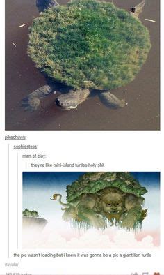 Looking for a good deal on lion turtle? 167 Best Avatar quotes and facts images | Avatar, Avatar the last airbender, The last airbender