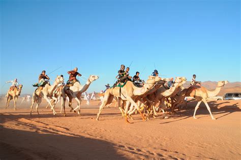 In saudi arabia religion, women must be covered completely. Camel Racing in Saudi Arabia - Saudi Arabia Affairs