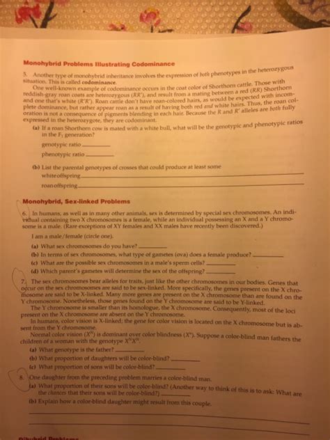 Inheritance activities genetics terminology and punnett squares from punnett square practice worksheet with answers, source. Punnett Square Practice: Monohybrid Mice Ansers - What is ...