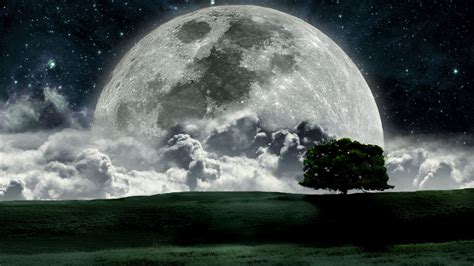 Alone, sad, lone tree, full moon, sky, cloud, silhouette, lonely tree. Wallpaper Bluos: Moon Wallpaper