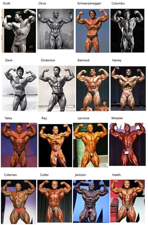 He won the gold medal in the men's kumite 84 kg event at the 2014 world karate championships in bremen, germany. Evolution of Bodybuilding in 2020 | Olympia bodybuilding ...