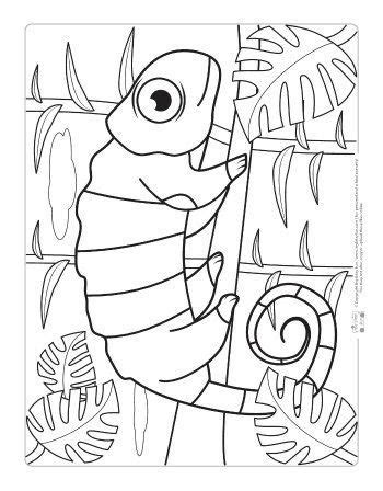 Select an animal below or download the full coloring book (44 mb). Silly Weird Animal Coloring Pages - Jesyscioblin