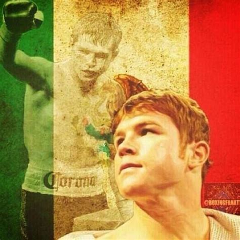 Saul alvarez barragan is on facebook. Boxer Santos Saul "El Canelo" Alvarez Barragan | Boxeo ...