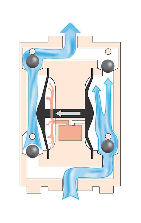 Lying resources, books & links (lie detection index page) index to. Diaphragm Pump Guide - The Pump Hub - TS Pumps