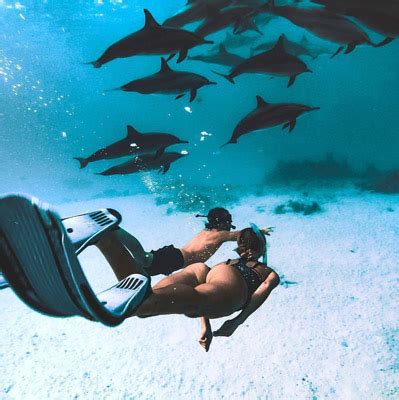 TheSwingerCruise.com - Lifestyle Swinger Cruise and ...