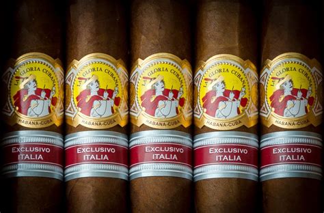 Obi cubana was gifted 46cows by cubana chiefpriest , for his mother's burial. La Gloria Cubana Invictos Exclusivo Italia - Gusto Tabacco