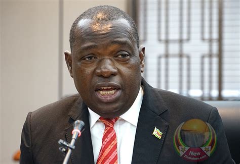 Minister of foreign affairs and international trade for the republic of zimbabwe | twigzu. SB Moyo Emerges Front-Runner In Zanu PF Succession Race ...