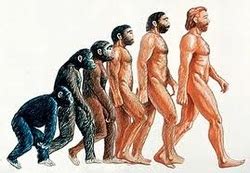 The term originated to describe the hypothetical intermediate form in the evolutionary series of anthropoid ancestors to anatomically modern humans (hominization). Evolution Of Man - Evolution