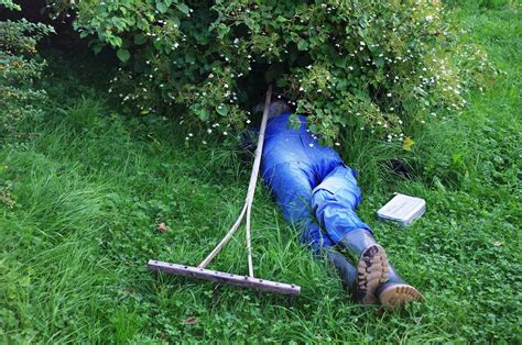 Katzen sind sehr reinliche tiere, die viele stunden des tages der körperpflege widmen. Produktivitätskiller Schlaf: Deutsche vergeuden täglich ...