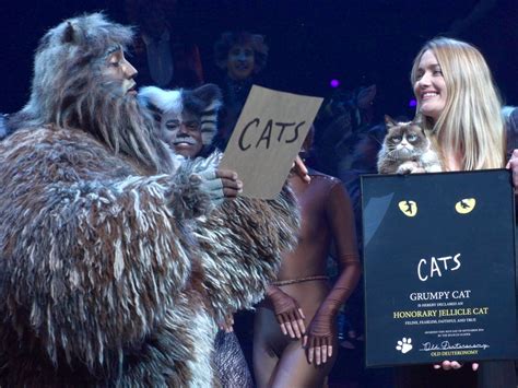 The recording won best cast show album at the 26th annual grammy awards. Grumpy Cat Joins The Cast of CATS For Her Broadway Debut - Crooked Llama News