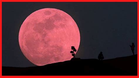 Habíamos hablado que este año 2020, se llevarían a cabo 4 superlunas (precisamente por el será mejor ver la luna cuando salga en el horizonte oriental. Super Luna Rosa 2020