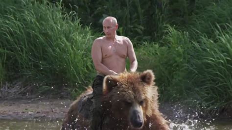 Bonkers the black bear who regularly features in movies. Putin on a Bear (Real Footage) - YouTube