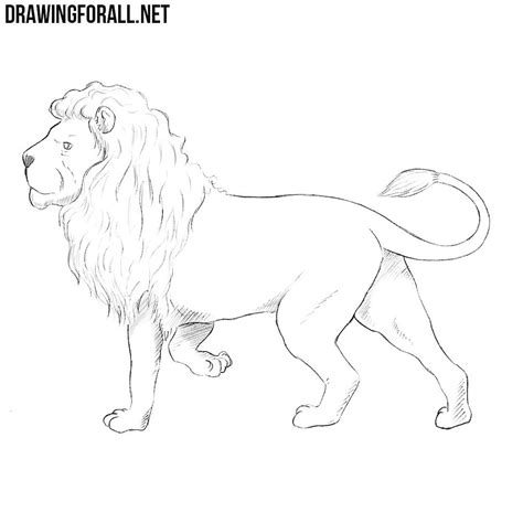 We present you a new drawing lesson for kids in which we will show you how to draw a lion. How to Draw a Nemean Lion | DrawingForAll.net