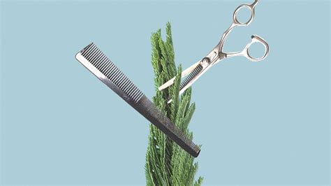 It is generally darker in color and stronger in texture than other hair found on the human body. How to Trim Pubic Hair: Removal, Styles, More for Men and ...