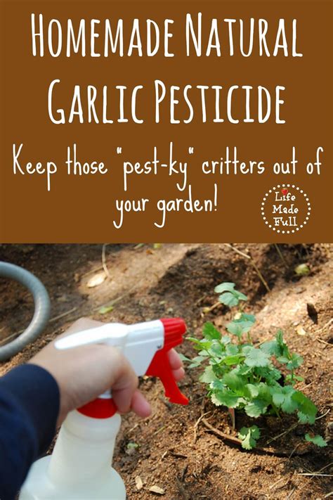 In this post, you'll learn how to make organic pesticides that will replace the commercial toxic ones like roundup. Homemade Natural Pesticide - Life Made Full