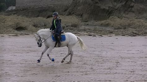 Offizielle seite von france galop. Galop sur la plage - YouTube