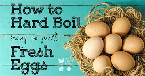 Well, actually, you want the water to come just to a boil but not stay there. How to Hard Boil {easy to peel} Fresh Eggs | The Easy Chicken