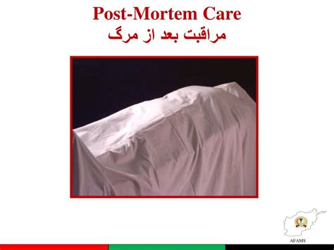 The latin phrase ante mortem before death is attested in english by 1823. PPT - Post-Mortem Care مراقبت بعداز مرگ PowerPoint ...