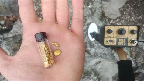 The higher the frequency, the closer to the surface the machine works to find smaller targets. How To Find GOLD NUGGETS with Metal Detector! - YouTube ...