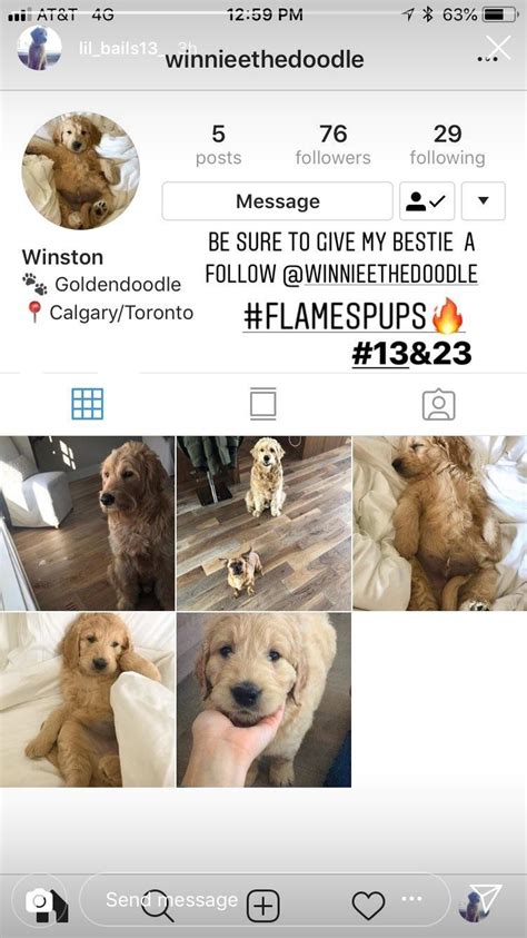 Best instagram names to get followers. Gaudreau and Monahan have matching dog breeds and ...