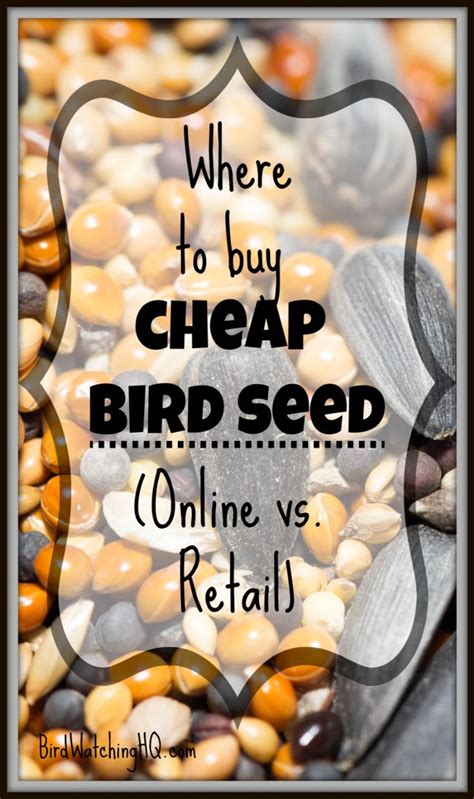 We created binance p2p exchange to address these pain points for p2p traders with a safe, convenient, and inexpensive option to buy and sell cryptocurrency. Cheapest Place To Buy Bird Food? Online vs Retail! (9 Case ...