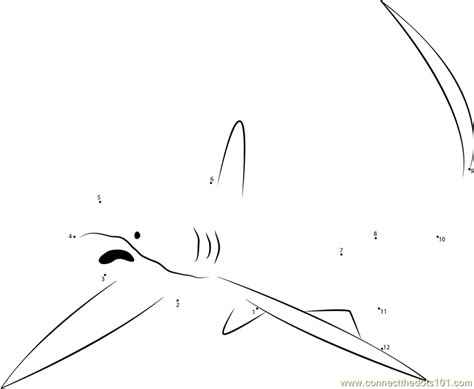 We did not find results for: Common Thresher Shark dot to dot printable worksheet ...
