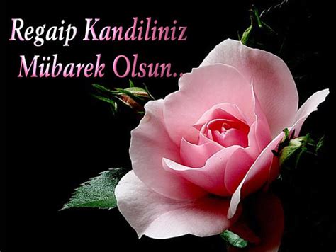 Regaip kandili öncesinde sevdiklerini mesajları ile hatırlamak ve kandilini kutlamak isteyen vatandaşlar regaib kandili mesajları ve güzel. 2017 Regaip Kandili Mesajları, Regaip Kandili Resimli ...