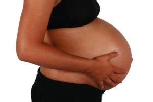 Hallo, meine hündin wurde am 23.7 gedeckt! Zwillingsschwangerschaft: Ablauf, Risiken und Besonderheiten