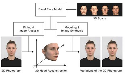 Fase analisis modeliing artinya : Visualization of the image manipulation process using the Basel Face... | Download Scientific ...