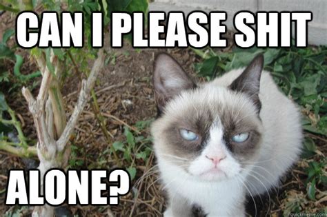 Which meme cat are you? Can I Please Shit Alone? Cat Meme - Cat Planet | Cat Planet